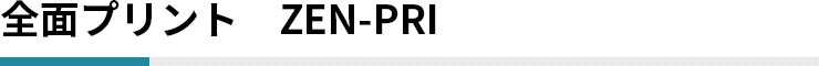 全面プリント