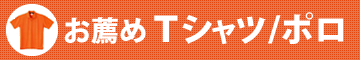 お薦めTシャツ/ポロ