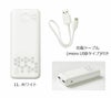 RD9241 モバイルバッテリー SUN-S サンエス 10000mAH
